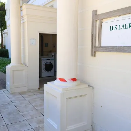 L'olearias By Tranquil At